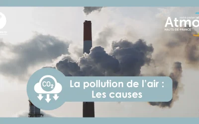 La pollution de l’air – Les causes