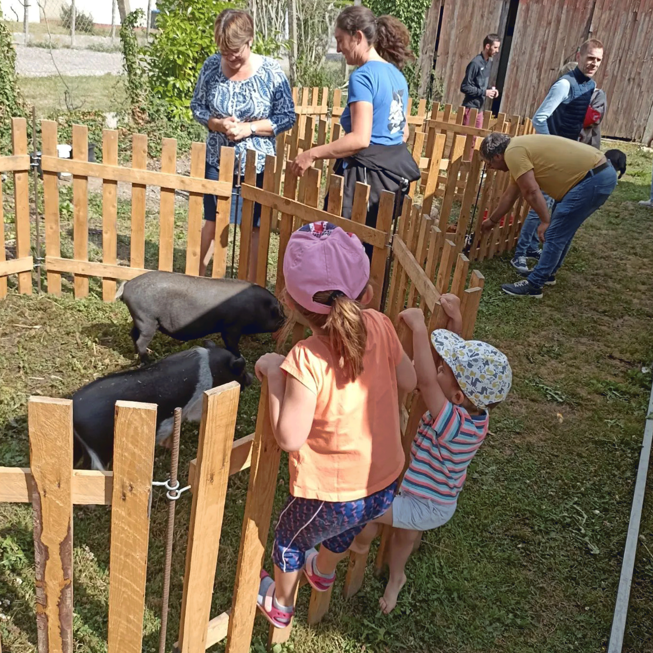 Photos-animations_05 ferme pedagogique