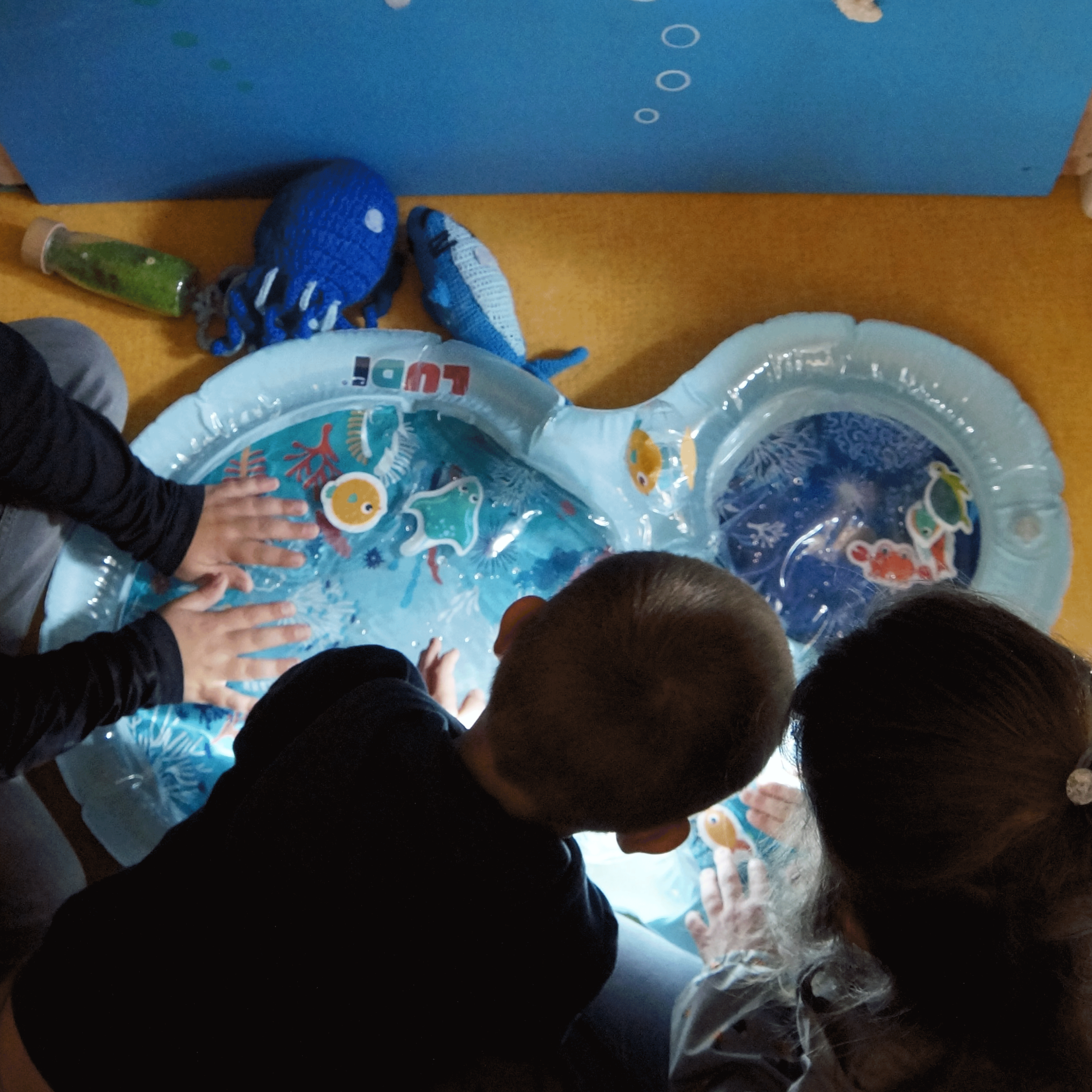 photos-animations_14 ferme pedagogique