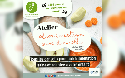 👶🍼 Atelier « Alimentation saine et durable » – Bébé grandit, son alimentation aussi !