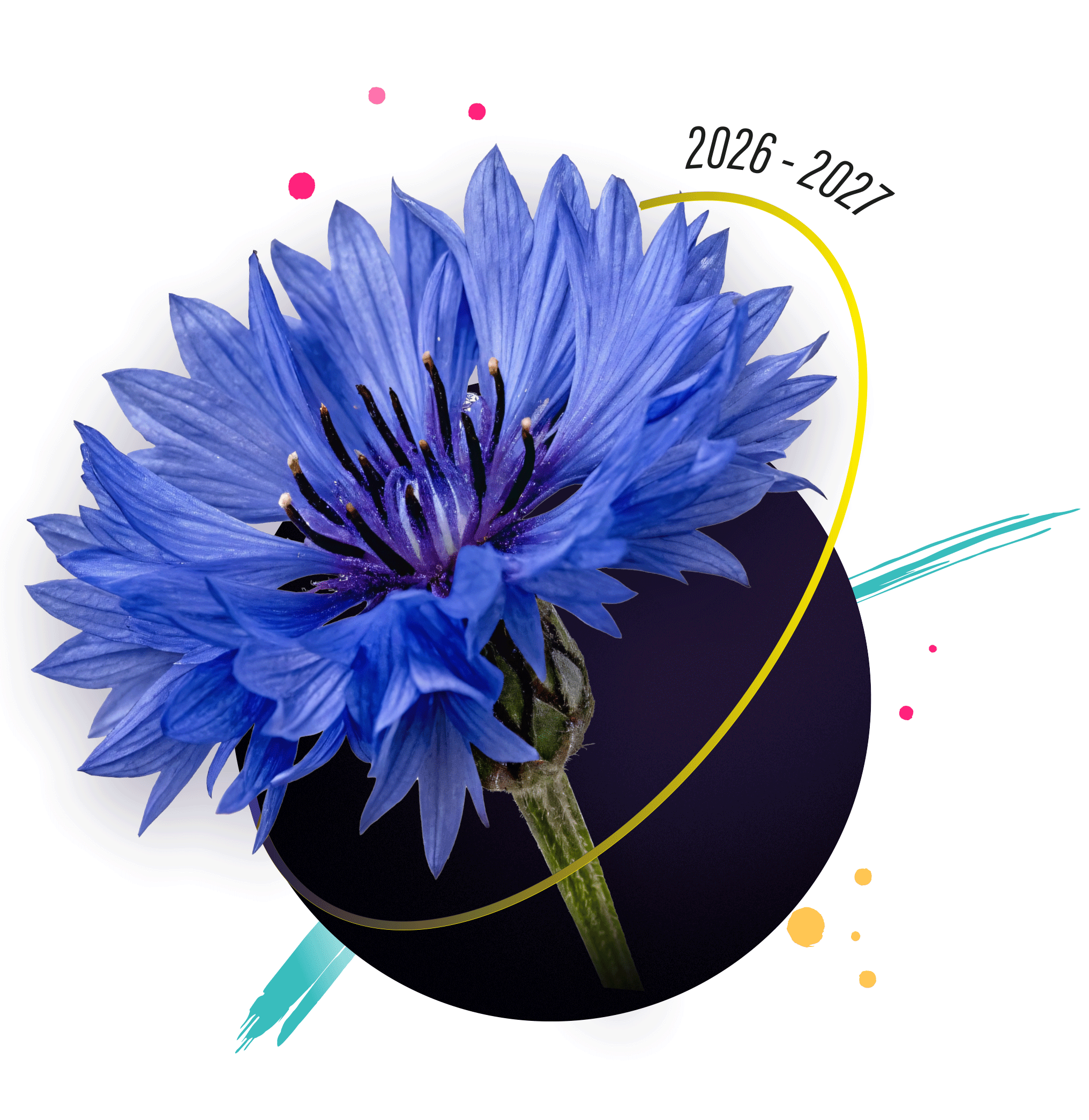 Abeille